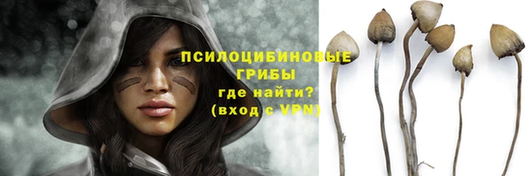 apvp Пересвет