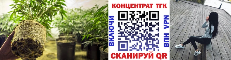 купить наркотики сайты  гидра ссылка  Дистиллят ТГК концентрат  Кирсанов 